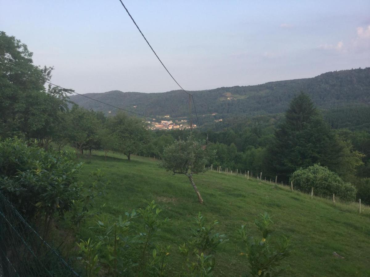 La Ferme De La-Haut B&B Le Haut-du-Them Zewnętrze zdjęcie