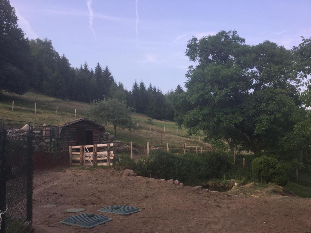 La Ferme De La-Haut B&B Le Haut-du-Them Zewnętrze zdjęcie